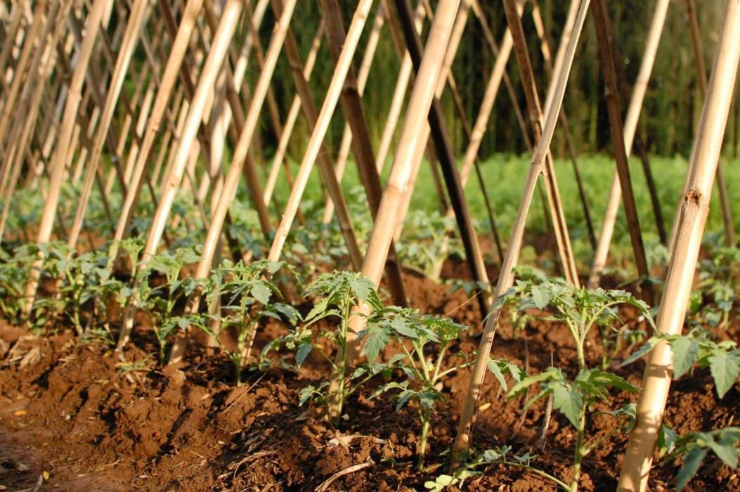 Chacara Das Lendas E Cancoes Passa Quatro Eksteriør bilde